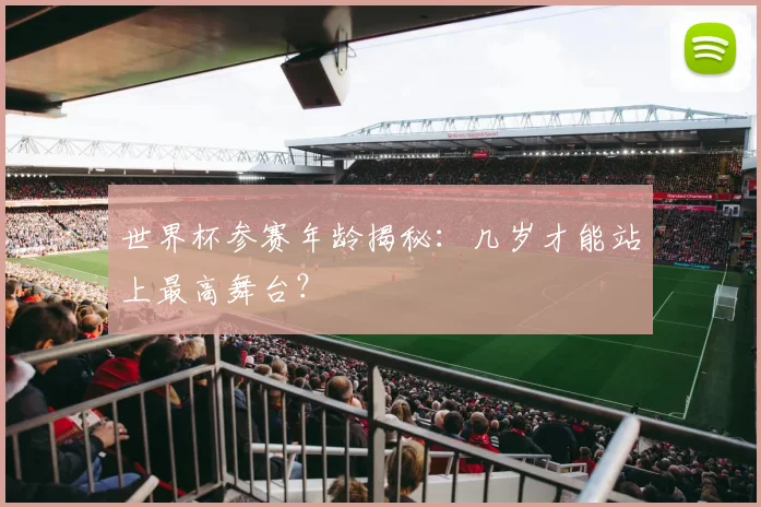 世界杯参赛年龄揭秘:几岁才能站上最高舞台?