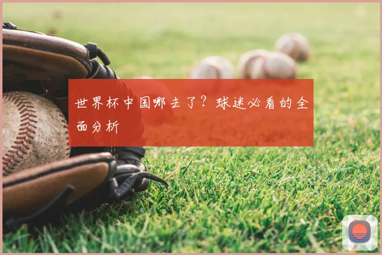世界杯中国哪去了?球迷必看的全面分析