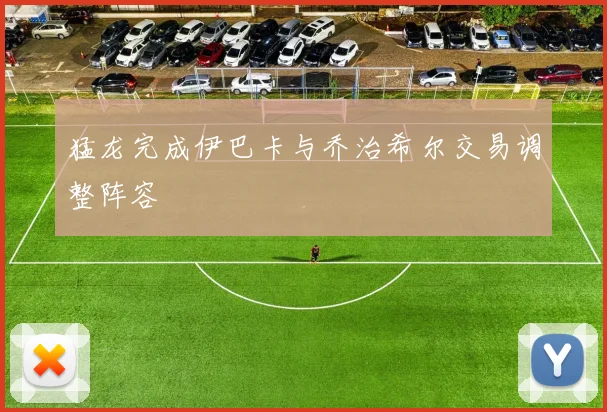 猛龙完成伊巴卡与乔治希尔交易调整阵容