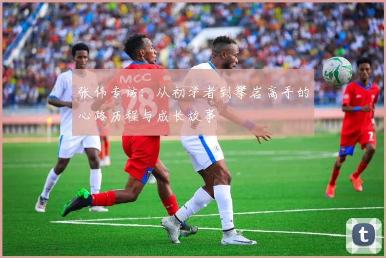 张伟专访：从初学者到攀岩高手的心路历程与成长故事