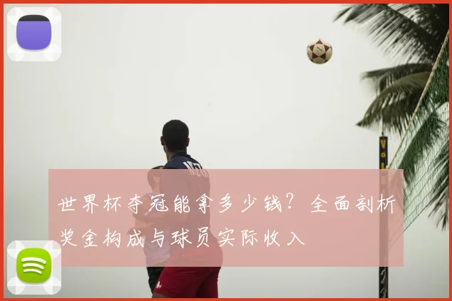 世界杯夺冠能拿多少钱？全面剖析奖金构成与球员实际收入