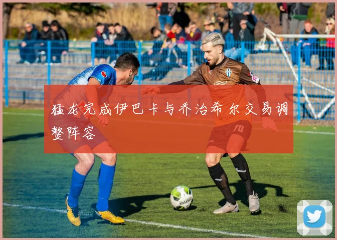 猛龙完成伊巴卡与乔治希尔交易调整阵容