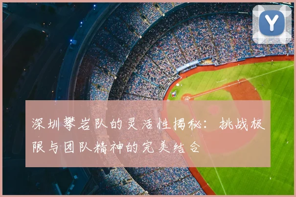 深圳攀岩队的灵活性揭秘：挑战极限与团队精神的完美结合