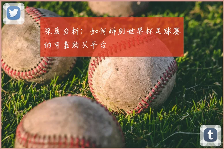 深度分析：如何辨别世界杯足球赛的可靠购买平台