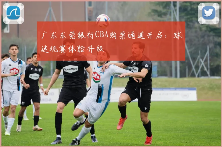 广东东莞银行CBA购票通道开启,球迷观赛体验升级