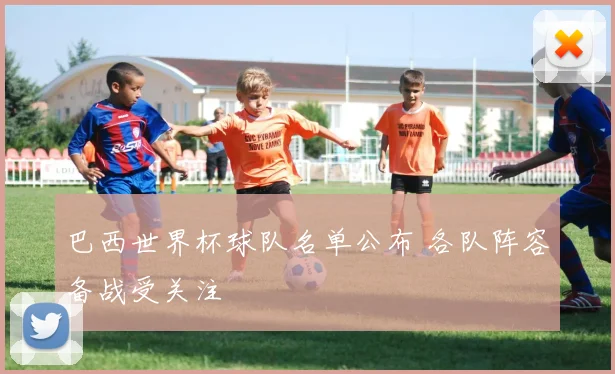 巴西世界杯球队名单公布 各队阵容备战受关注