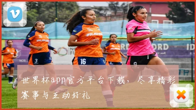 世界杯app官方平台下载,尽享精彩赛事与互动好礼