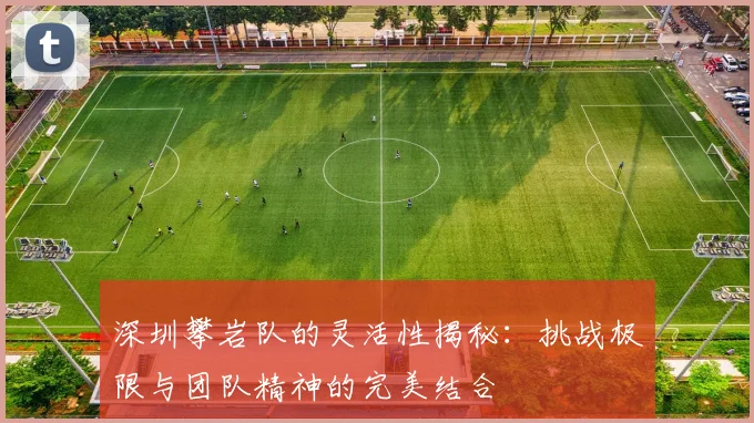 深圳攀岩队的灵活性揭秘:挑战极限与团队精神的完美结合