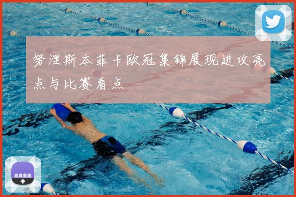 努涅斯本菲卡欧冠集锦展现进攻亮点与比赛看点
