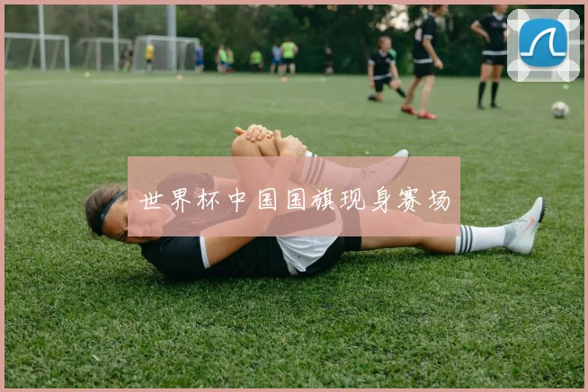 世界杯中国国旗现身赛场