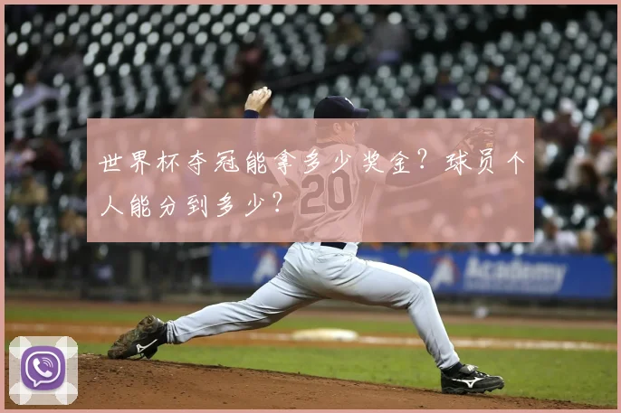 世界杯夺冠能拿多少奖金？球员个人能分到多少？