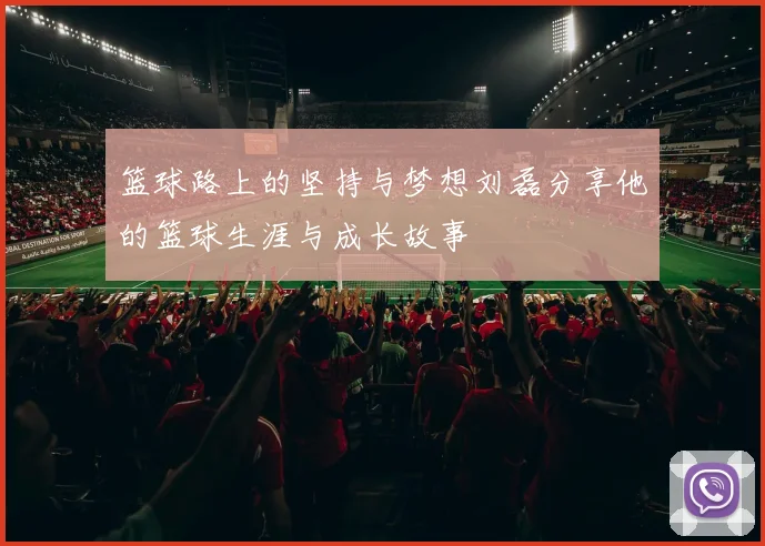 篮球路上的坚持与梦想刘磊分享他的篮球生涯与成长故事
