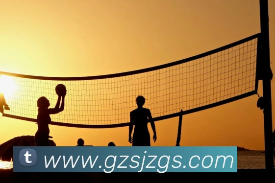体育赛事